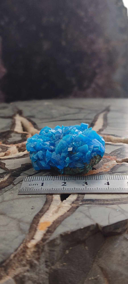 Chalcanthite de Pologne Grade A++++ Chalcanthite de Pologne Dans la besace du p'tit Poucet