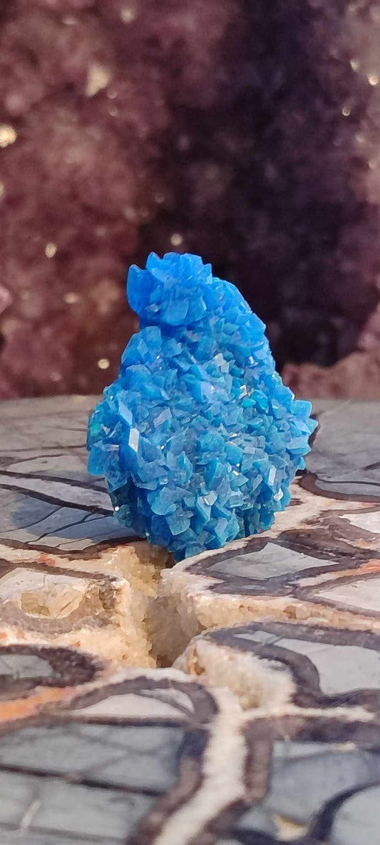 Chalcanthite de Pologne Grade A++++ Chalcanthite de Pologne Dans la besace du p'tit Poucet