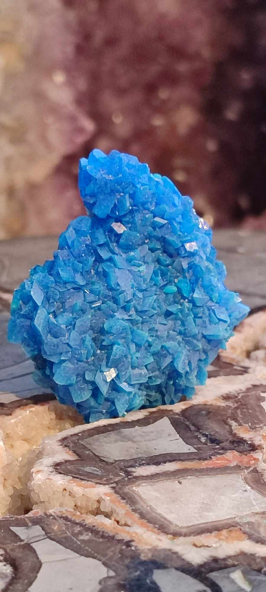 Chalcanthite de Pologne Grade A++++ Chalcanthite de Pologne Dans la besace du p'tit Poucet