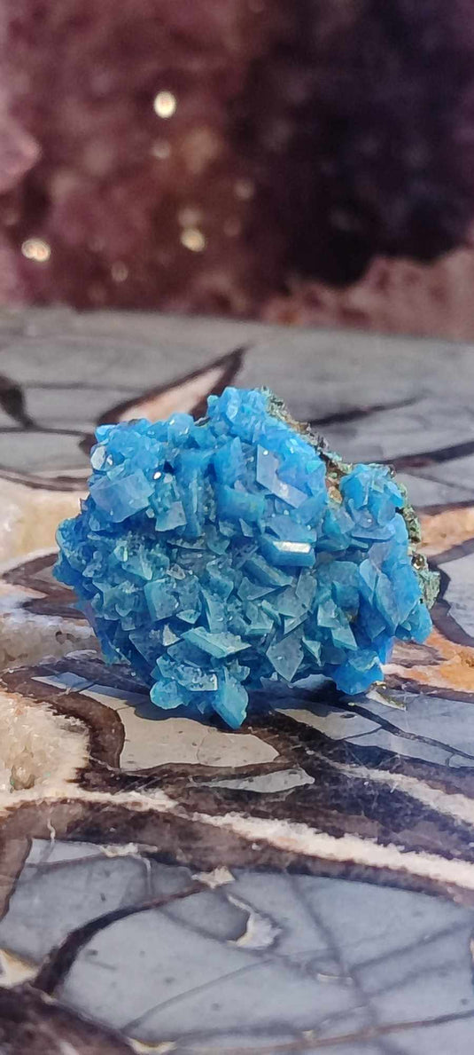 Chalcanthite de Pologne Grade A++++ Chalcanthite de Pologne Dans la besace du p'tit Poucet