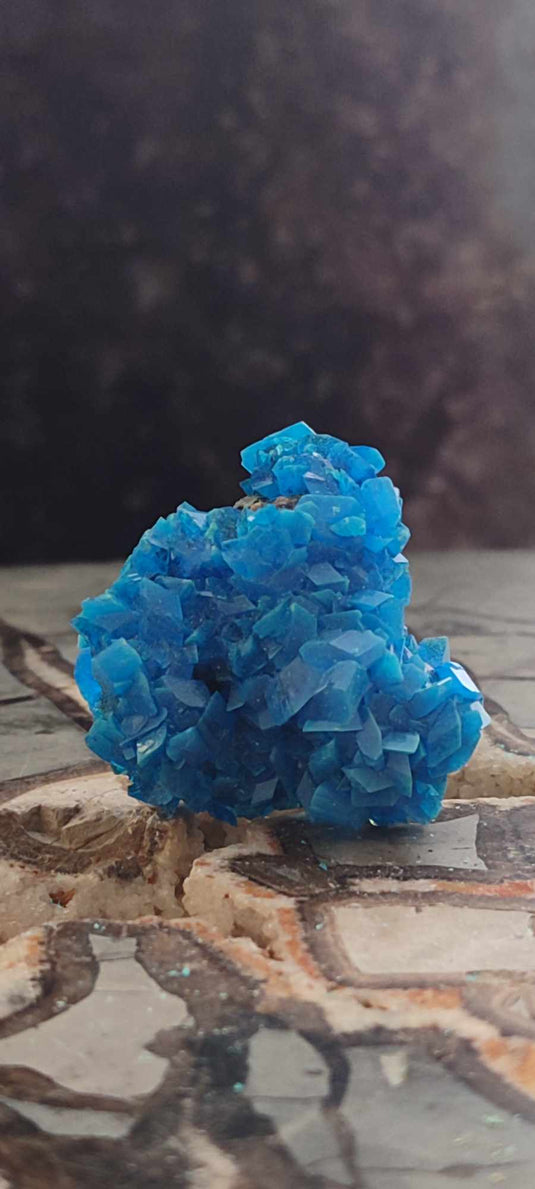 Chalcanthite de Pologne Grade A++++ Chalcanthite de Pologne Dans la besace du p'tit Poucet