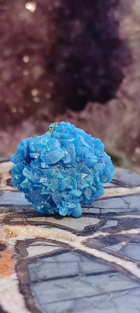 Chalcanthite de Pologne Grade A++++ Chalcanthite de Pologne Dans la besace du p'tit Poucet