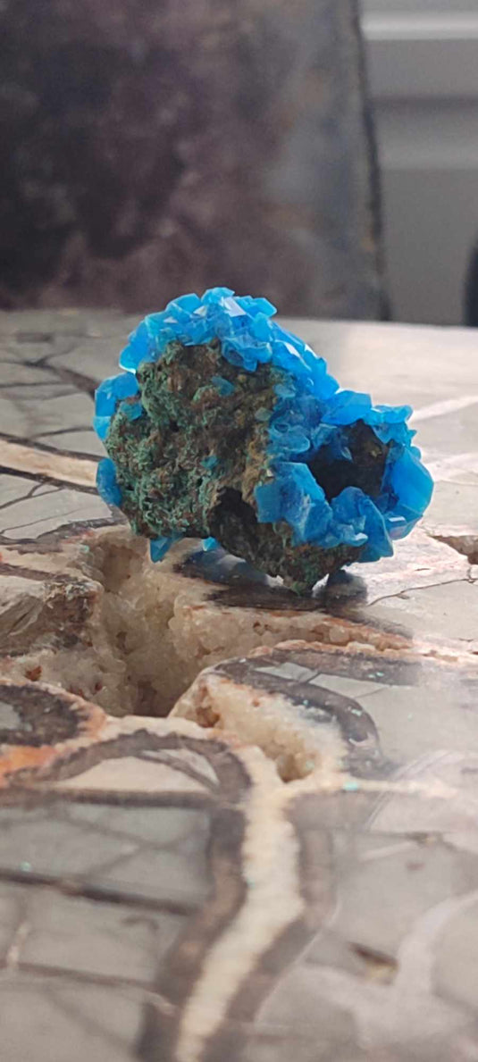 Chalcanthite de Pologne Grade A++++ Chalcanththite de Pologne Dans la besace du p'tit Poucet