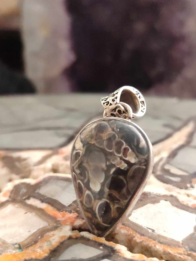 Chargez l&#39;image dans la visionneuse de la galerie, Agate Turitelle d&#39;Uruguay pendentif monté sur argent 925 Grade A++++ Agate Turitelles fossile pendentif Dans la besace du p&#39;tit Poucet (Boutique Officielle)
