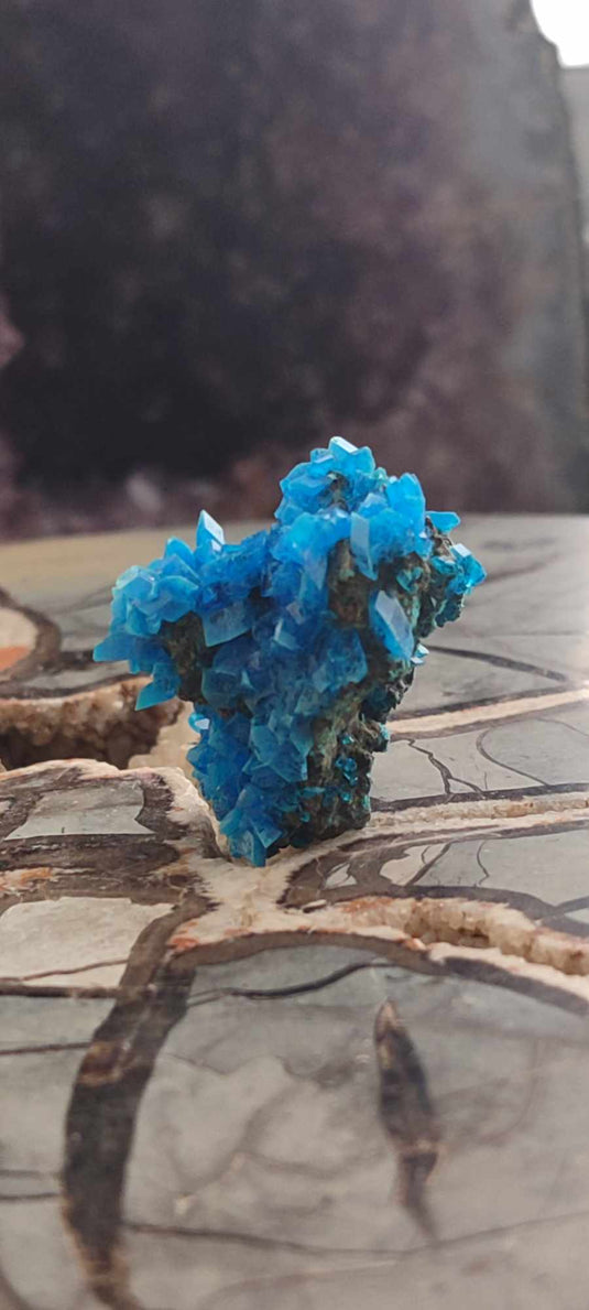 Chalcanthite de Pologne Grade A++++ Chalcanththite de Pologne Dans la besace du p'tit Poucet