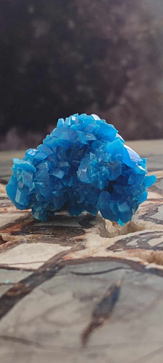 Chalcanthite de Pologne Grade A++++ Chalcanththite de Pologne Dans la besace du p'tit Poucet