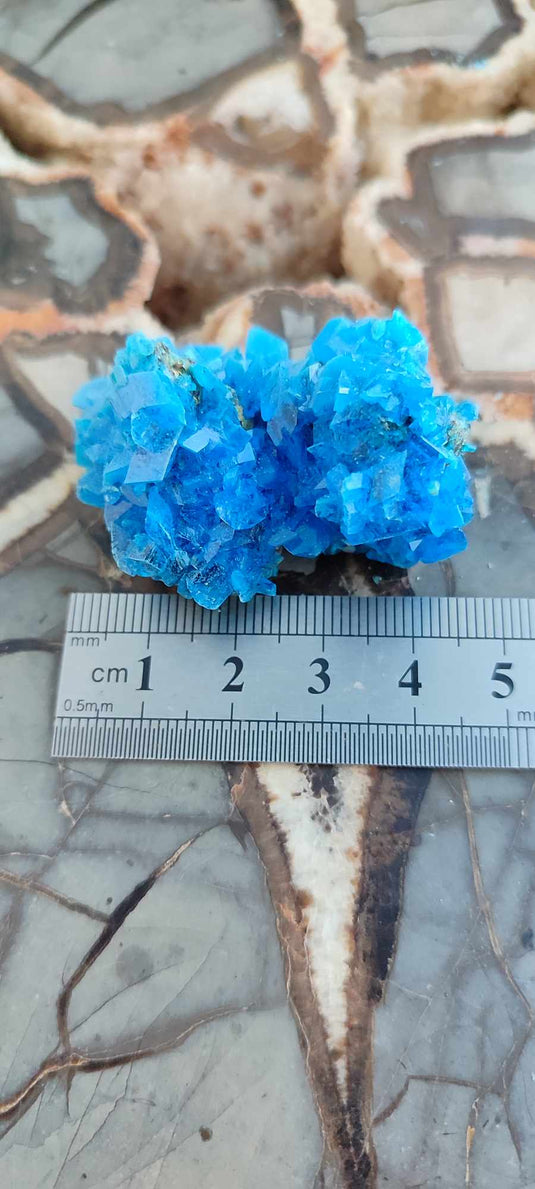 Chalcanthite de Pologne Grade A++++ Chalcanthite de Pologne Dans la besace du p'tit Poucet