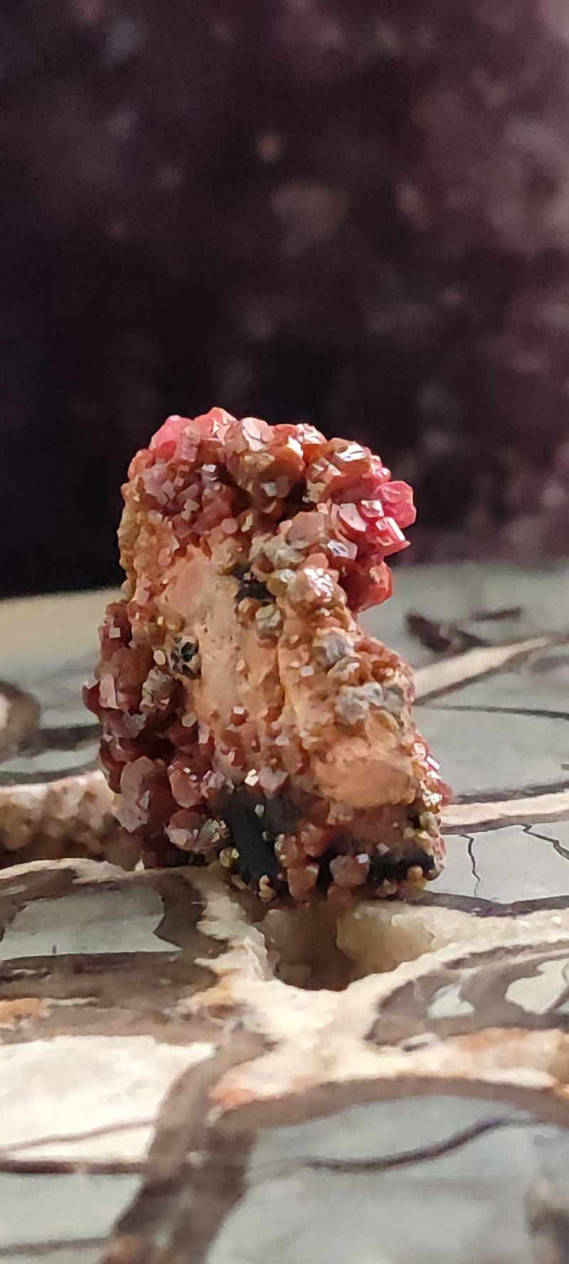 Chargez l&#39;image dans la visionneuse de la galerie, Vanadinite du Mexique pierre brute Grade A++++ Vanadinite du Mexique Dans la besace du p&#39;tit Poucet (Boutique Officielle)
