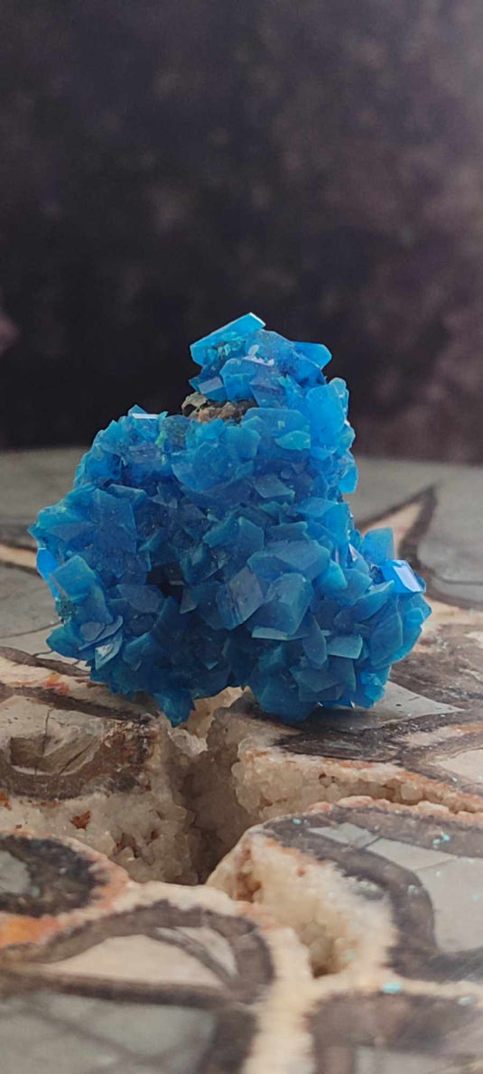 Chalcanthite de Pologne Grade A++++ Chalcanthite de Pologne Dans la besace du p'tit Poucet