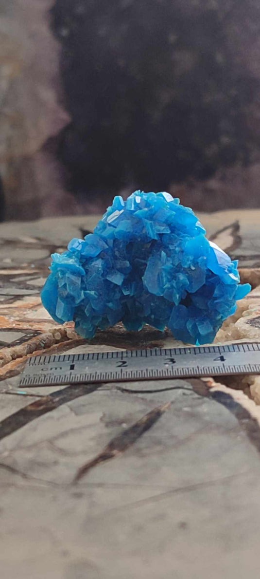 Chalcanthite de Pologne Grade A++++ Chalcanththite de Pologne Dans la besace du p'tit Poucet