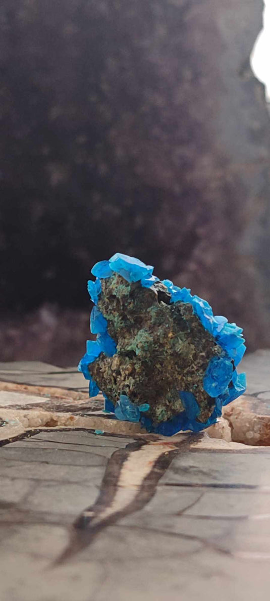 Chalcanthite de Pologne Grade A++++ Chalcanthite de Pologne Dans la besace du p'tit Poucet