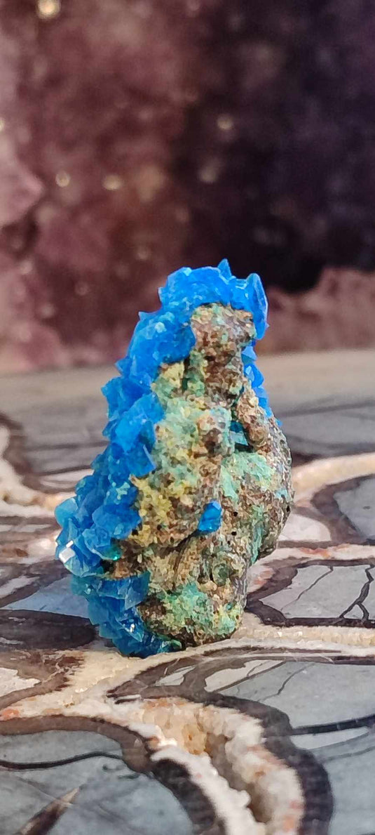 Chalcanthite de Pologne Grade A++++ Chalcanthite de Pologne Dans la besace du p'tit Poucet