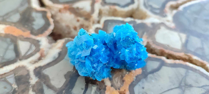 Chalcanthite de Pologne Grade A++++ Chalcanthite de Pologne Dans la besace du p'tit Poucet