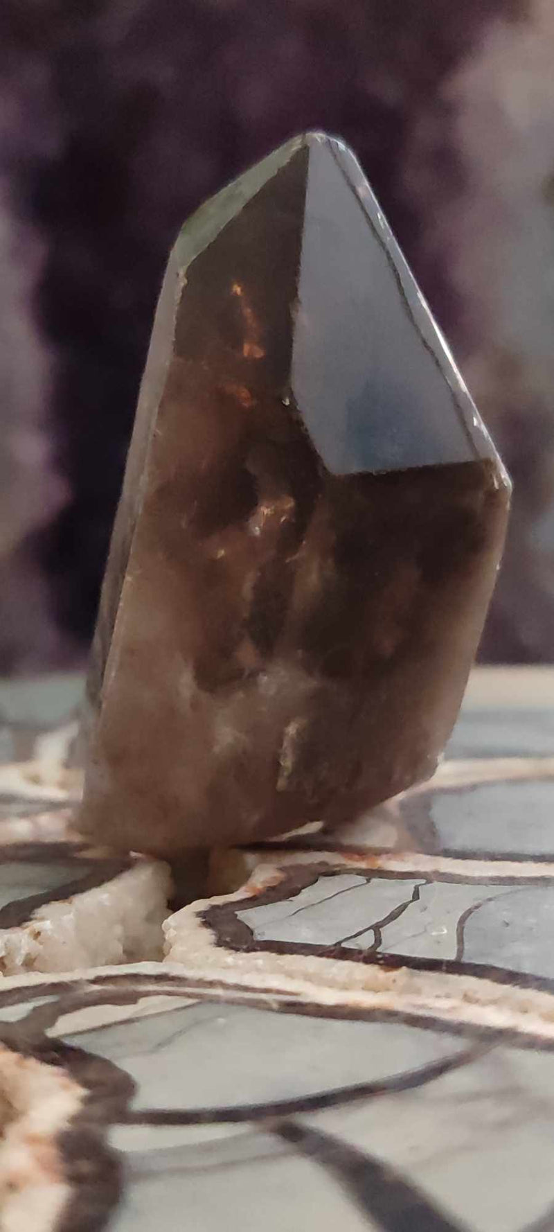 Chargez l&#39;image dans la visionneuse de la galerie, Quartz fumé du Brésil pointe brute Grade A++++ Quartz fumé pointe brute Dans la besace du p&#39;tit Poucet (Boutique Officielle)
