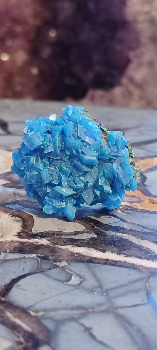 Chalcanthite de Pologne Grade A++++ Chalcanthite de Pologne Dans la besace du p'tit Poucet