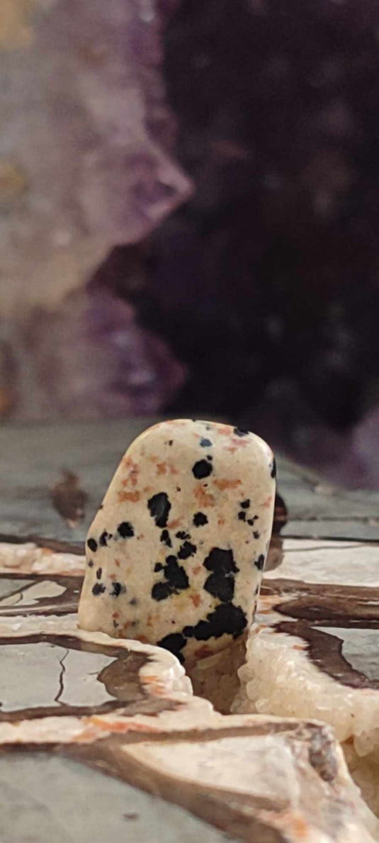 Jaspe dalmatien du Brésil pierre roulée Grade A++++