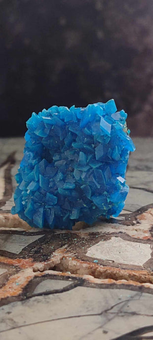 Chalcanthite de Pologne Grade A++++ Chalcanthite de Pologne Dans la besace du p'tit Poucet