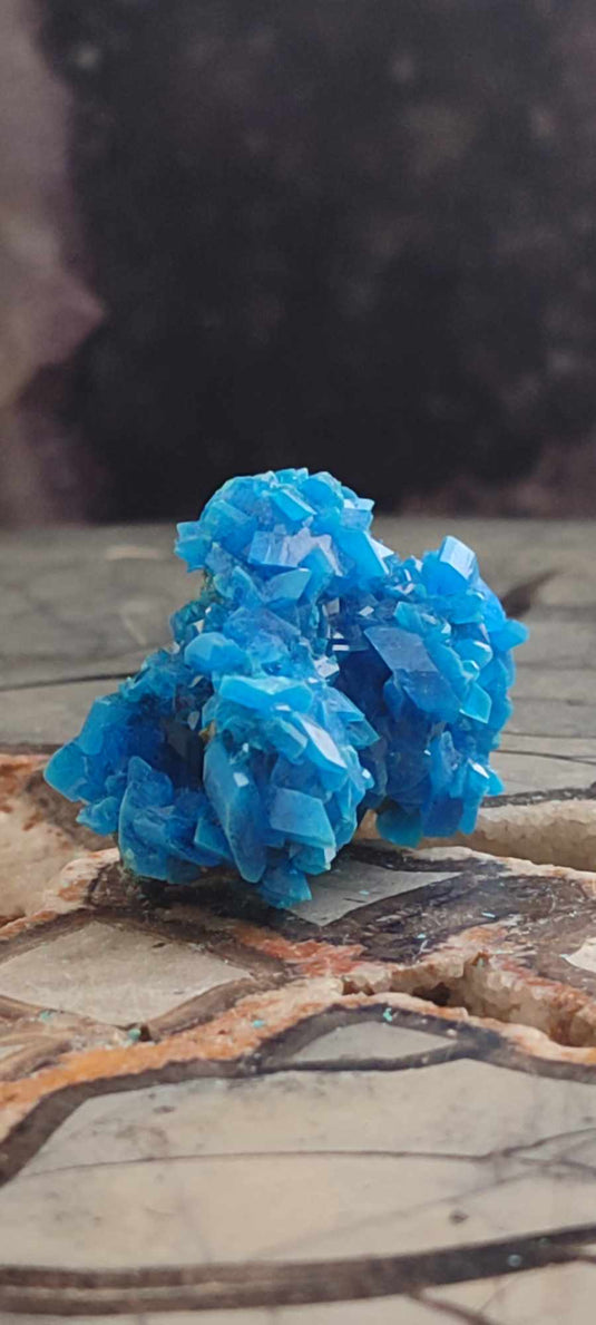 Chalcanthite de Pologne Grade A++++ Chalcanththite de Pologne Dans la besace du p'tit Poucet