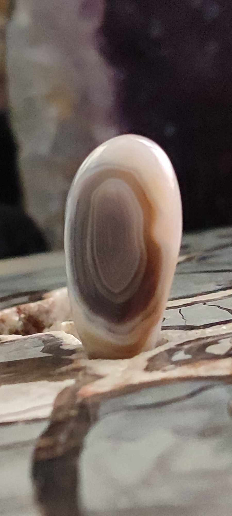 Cargue la imagen en el visor de la galería, Agate du Botswana, Afrique pierre roulée Grade A++++ Agate du Botswana pierre roulée Dans la besace du p&#39;tit Poucet (Boutique Officielle)
