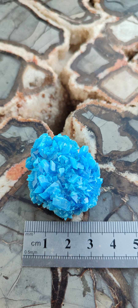 Chalcanthite de Pologne Grade A++++ Chalcanthite de Pologne Dans la besace du p'tit Poucet