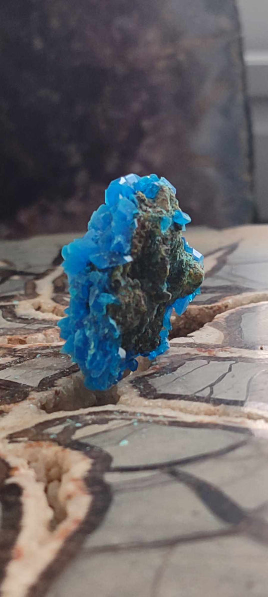 Chalcanthite de Pologne Grade A++++ Chalcanththite de Pologne Dans la besace du p'tit Poucet