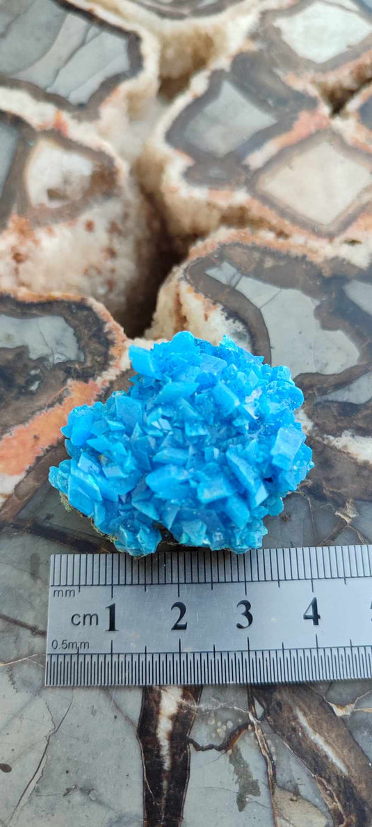 Chalcanthite de Pologne Grade A++++ Chalcanthite de Pologne Dans la besace du p'tit Poucet