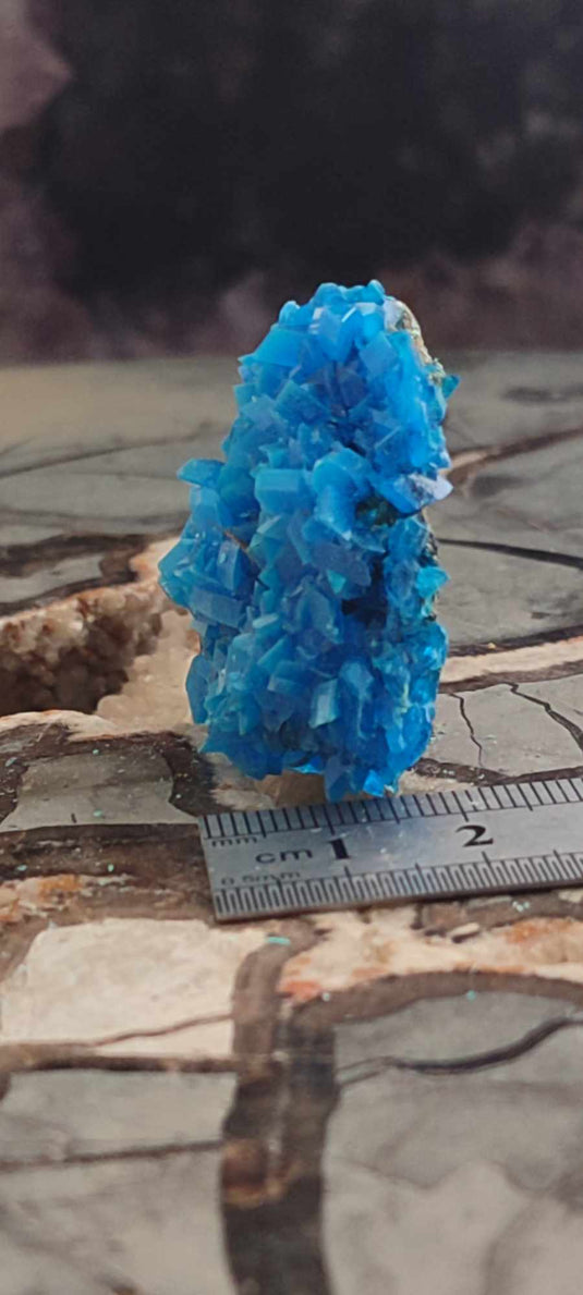 Chalcanthite de Pologne Grade A++++ Chalcanththite de Pologne Dans la besace du p'tit Poucet