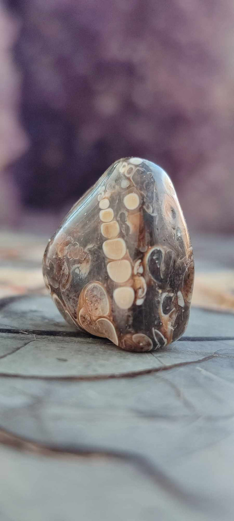 Chargez l&#39;image dans la visionneuse de la galerie, Agate Turitelle d&#39;Uruguay pierre roulée Grade A++++ Agate Turitelle pierre roulée Dans la besace du p&#39;tit Poucet (Boutique Officielle)
