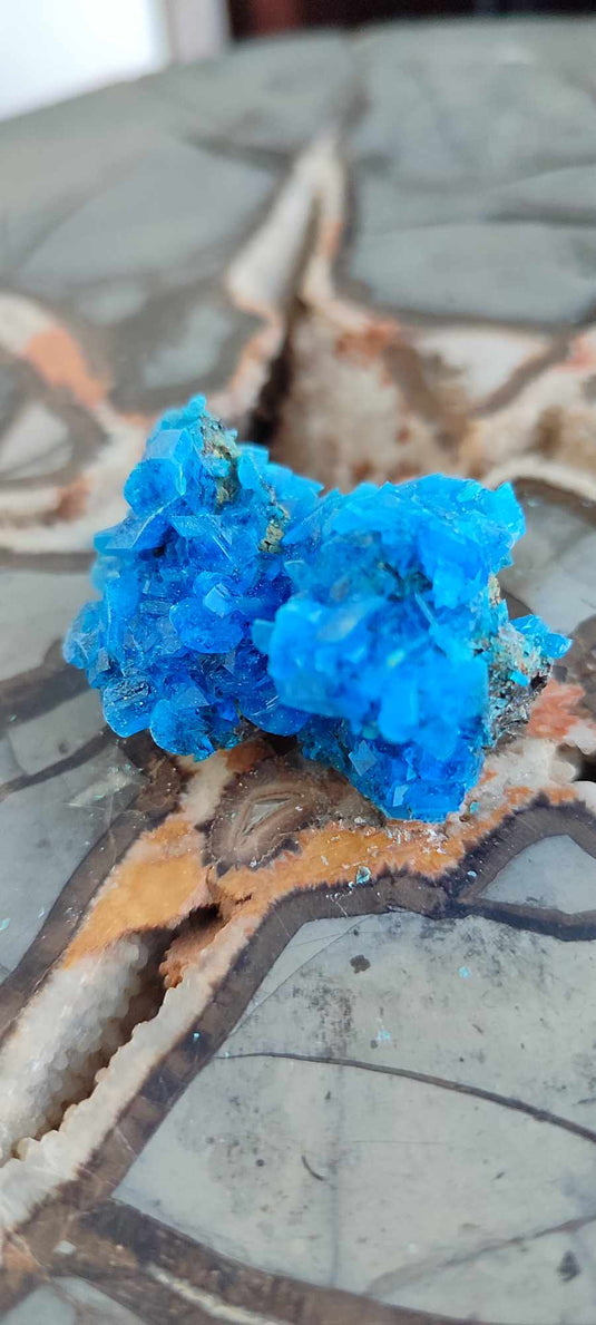 Chalcanthite de Pologne Grade A++++ Chalcanthite de Pologne Dans la besace du p'tit Poucet