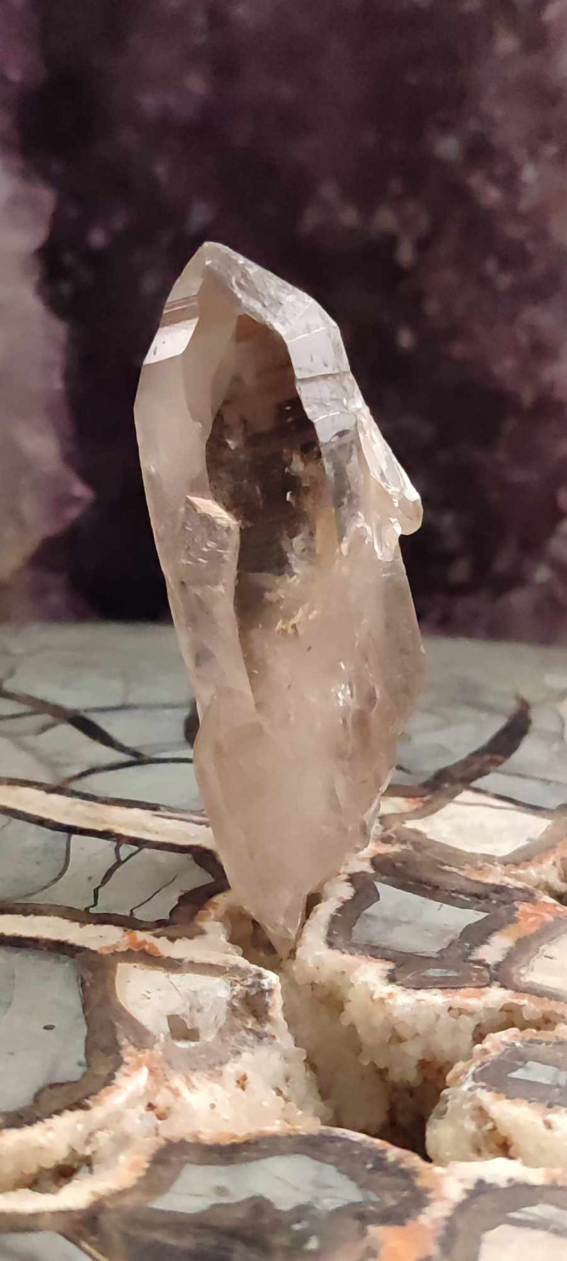 Chargez l&#39;image dans la visionneuse de la galerie, Quartz fumé du Brésil pointe brute Grade A++++ Quartz fumé Dans la besace du p&#39;tit Poucet (Boutique Officielle)
