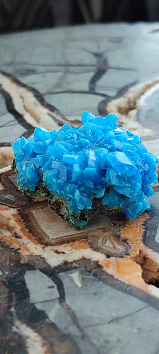 Chalcanthite de Pologne Grade A++++ Chalcanthite de Pologne Dans la besace du p'tit Poucet