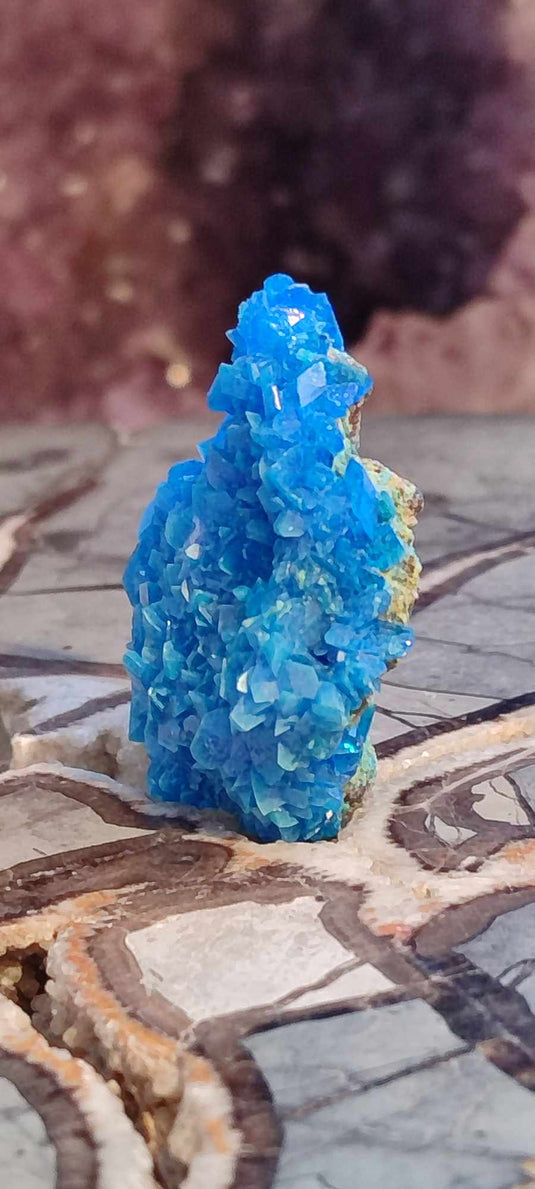 Chalcanthite de Pologne Grade A++++ Chalcanthite de Pologne Dans la besace du p'tit Poucet