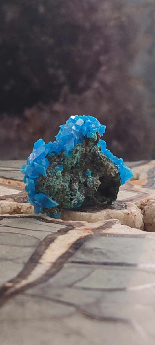 Chalcanthite de Pologne Grade A++++ Chalcanththite de Pologne Dans la besace du p'tit Poucet