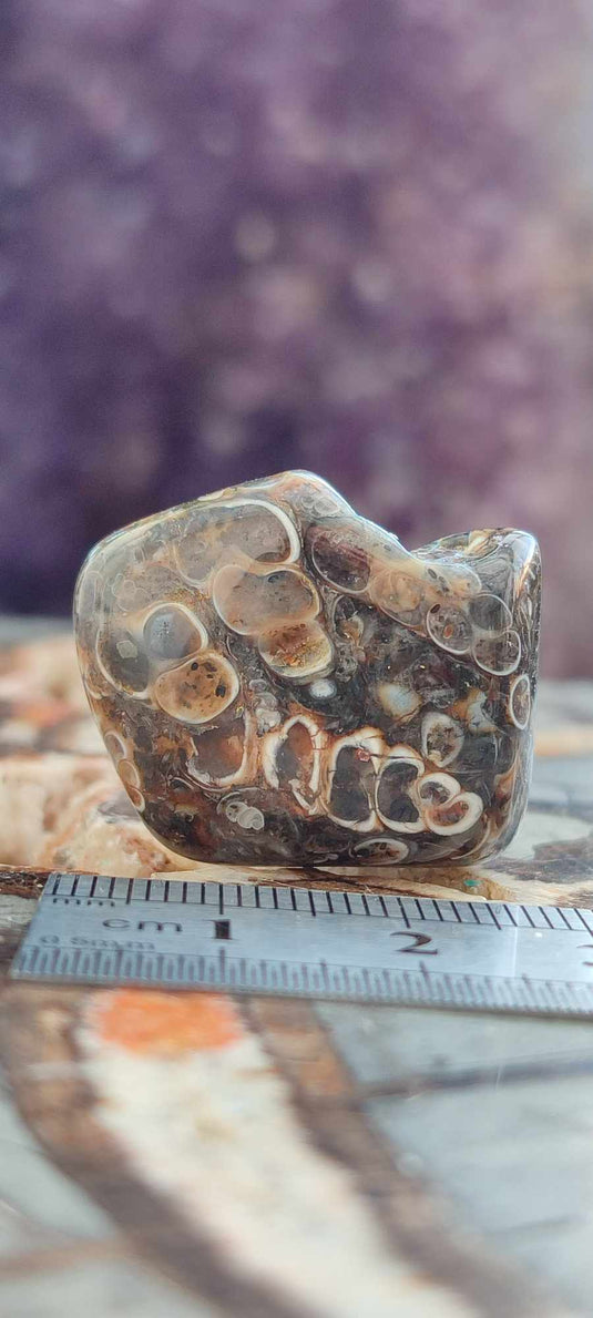 Agate Turitelle d'Uruguay pierre roulée Grade A++++ Agate Turitelle pierre roulée Dans la besace du p'tit Poucet (Boutique Officielle)