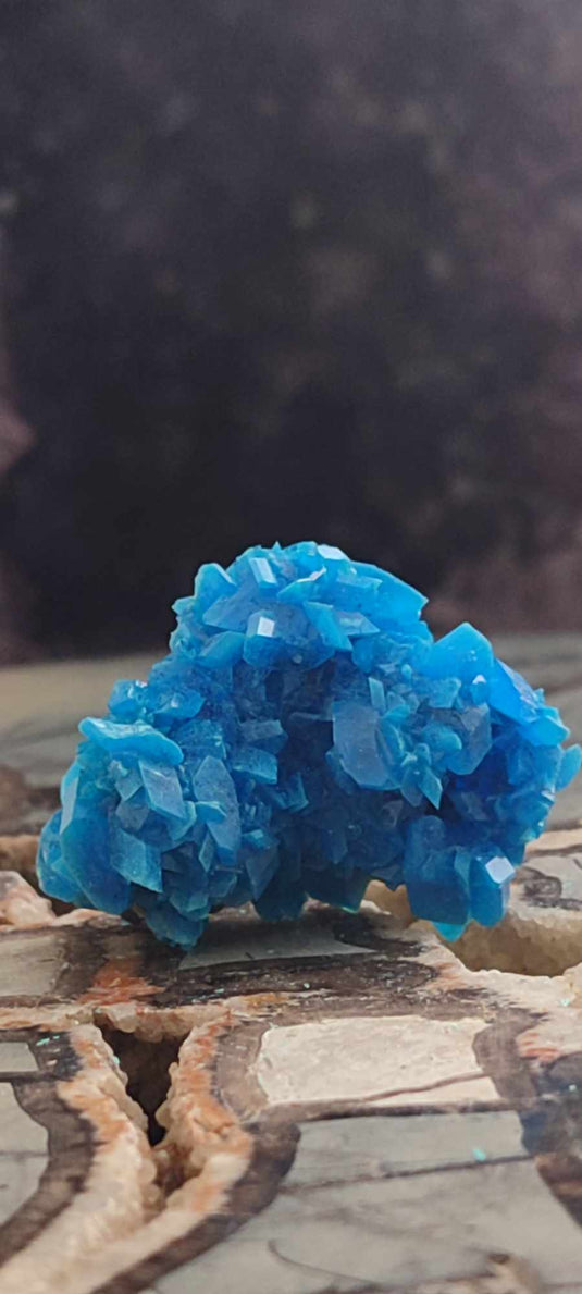 Chalcanthite de Pologne Grade A++++ Chalcanththite de Pologne Dans la besace du p'tit Poucet