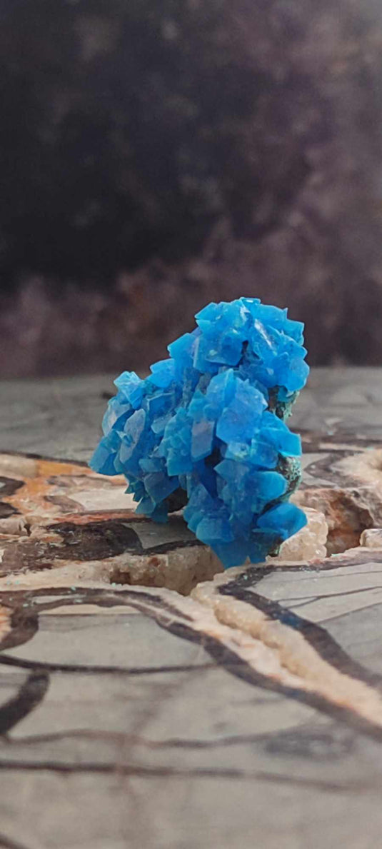 Chalcanthite de Pologne Grade A++++ Chalcanththite de Pologne Dans la besace du p'tit Poucet