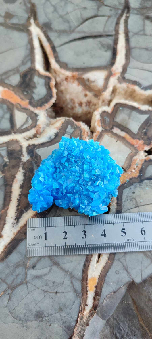 Chalcanthite de Pologne Grade A++++ Chalcanthite de Pologne Dans la besace du p'tit Poucet