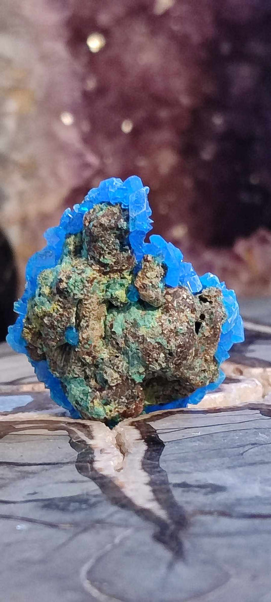 Chalcanthite de Pologne Grade A++++ Chalcanthite de Pologne Dans la besace du p'tit Poucet