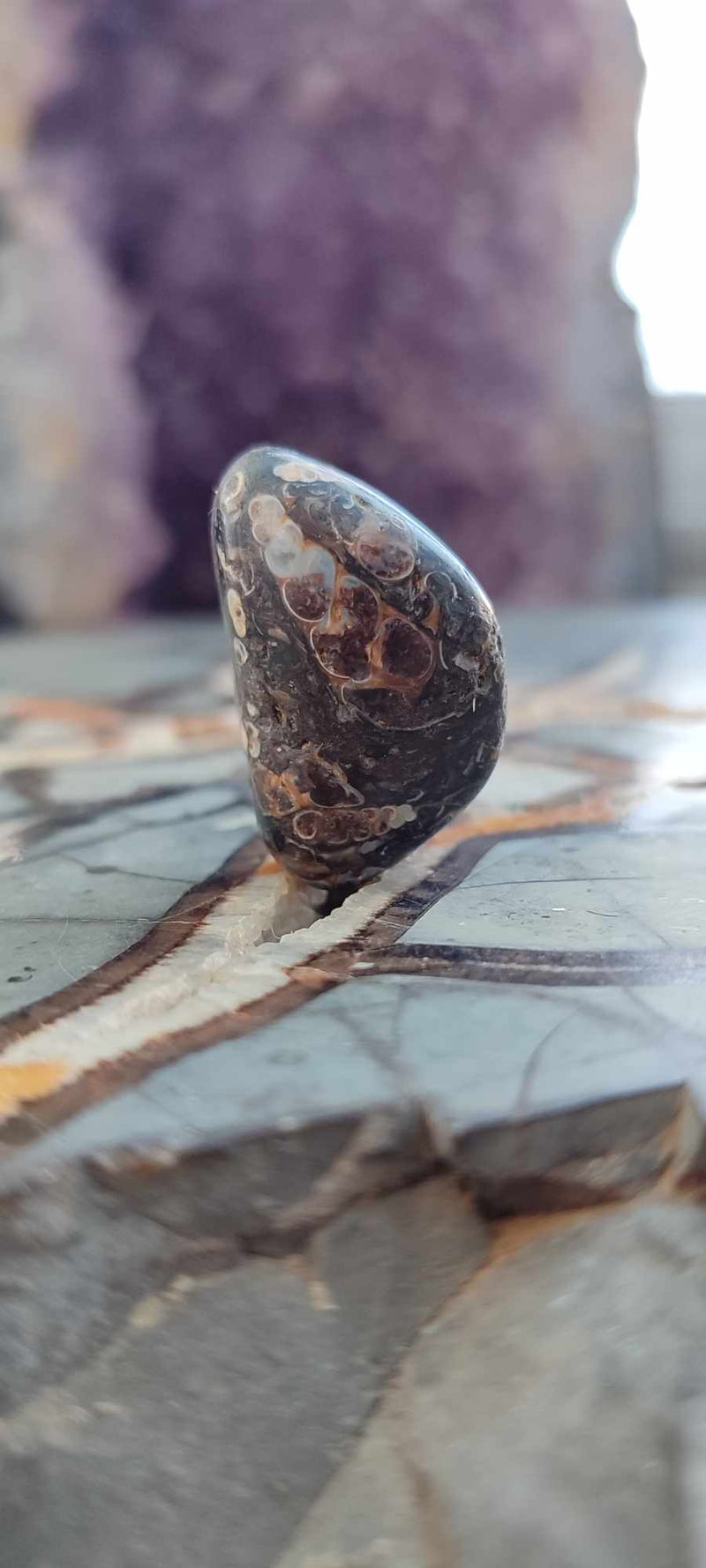 Chargez l&#39;image dans la visionneuse de la galerie, Agate Turitelle d&#39;Uruguay pierre roulée Grade A++++ Agate Turitelle pierre roulée Dans la besace du p&#39;tit Poucet (Boutique Officielle)
