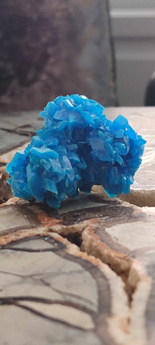 Chalcanthite de Pologne Grade A++++ Chalcanththite de Pologne Dans la besace du p'tit Poucet