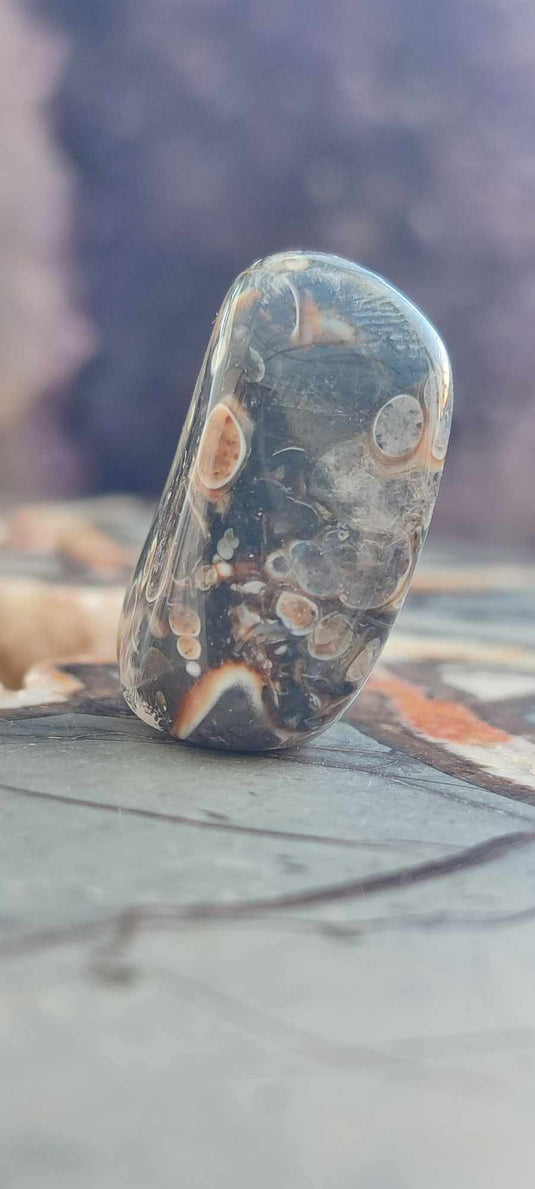 Agate Turitelle d'Uruguay pierre roulée Grade A++++ Agate Turitelle pierre roulée Dans la besace du p'tit Poucet (Boutique Officielle)