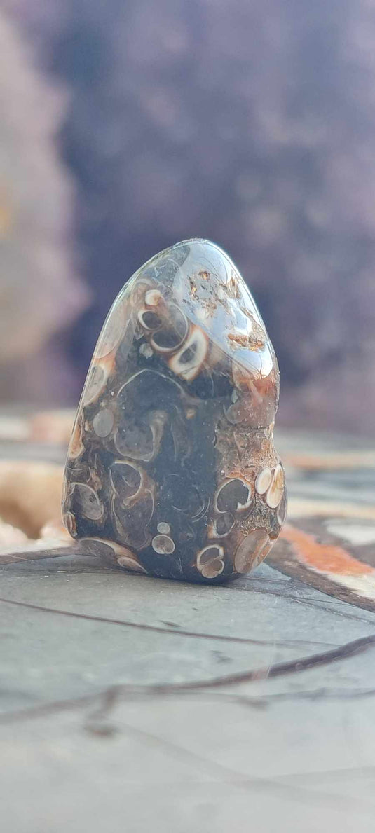 Agate Turitelle d'Uruguay pierre roulée Grade A++++ Agate Turitelle pierre roulée Dans la besace du p'tit Poucet (Boutique Officielle)