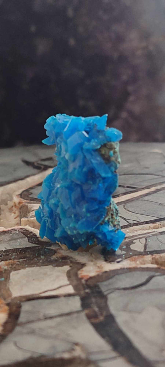 Chalcanthite de Pologne Grade A++++ Chalcanthite de Pologne Dans la besace du p'tit Poucet