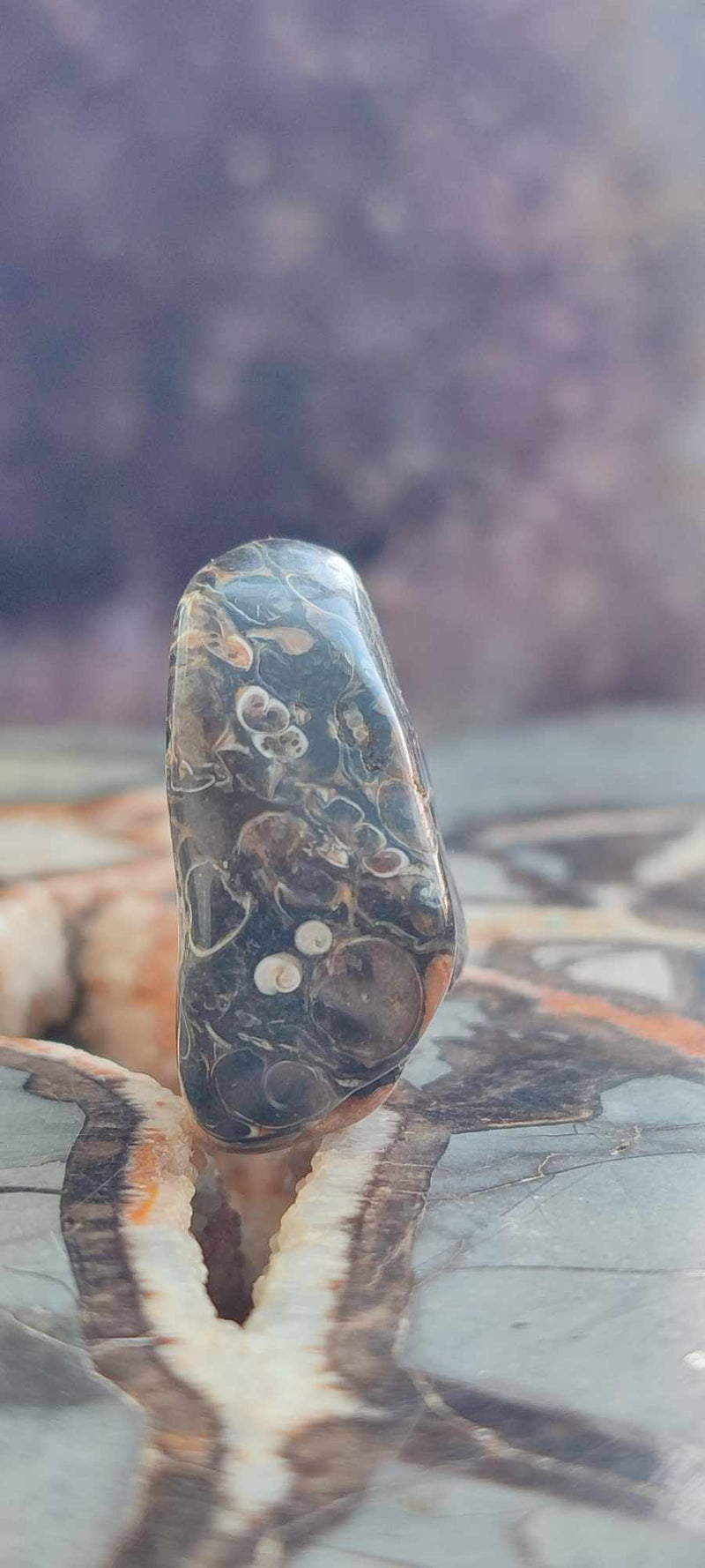 Chargez l&#39;image dans la visionneuse de la galerie, Agate Turitelle d&#39;Uruguay pierre roulée Grade A++++ Agate Turitelle pierre roulée Dans la besace du p&#39;tit Poucet (Boutique Officielle)
