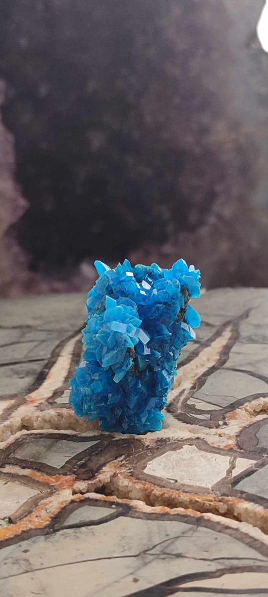 Chalcanthite de Pologne Grade A++++ Chalcanththite de Pologne Dans la besace du p'tit Poucet