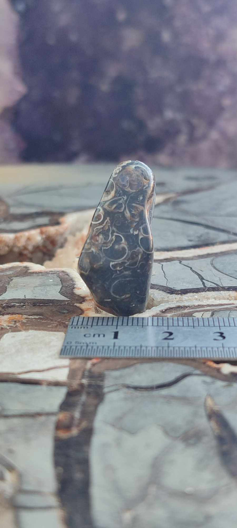 Chargez l&#39;image dans la visionneuse de la galerie, Agate Turitelle d&#39;Uruguay pierre roulée Grade A++++ Agate Turitelle pierre roulée Dans la besace du p&#39;tit Poucet (Boutique Officielle)
