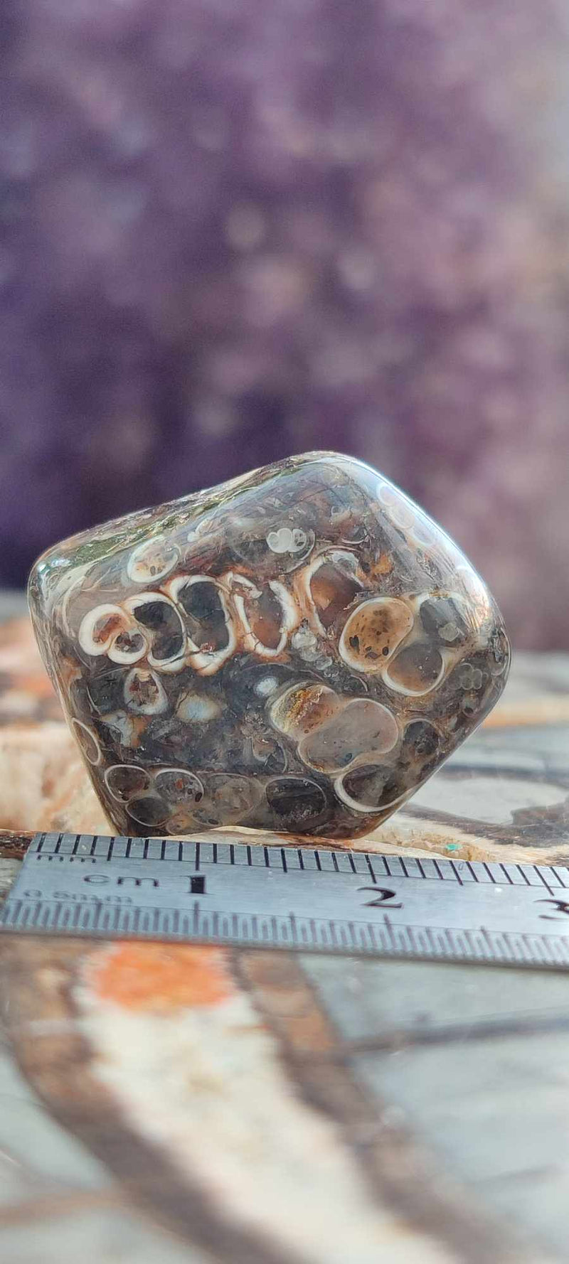 Chargez l&#39;image dans la visionneuse de la galerie, Agate Turitelle d&#39;Uruguay pierre roulée Grade A++++ Agate Turitelle pierre roulée Dans la besace du p&#39;tit Poucet (Boutique Officielle)
