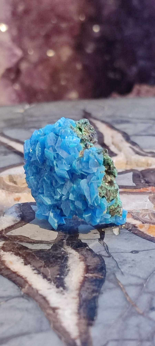 Chalcanthite de Pologne Grade A++++ Chalcanthite de Pologne Dans la besace du p'tit Poucet