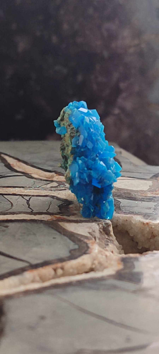 Chalcanthite de Pologne Grade A++++ Chalcanththite de Pologne Dans la besace du p'tit Poucet