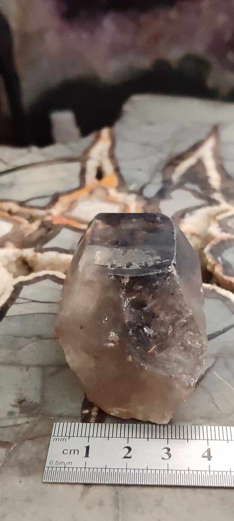 Chargez l&#39;image dans la visionneuse de la galerie, Quartz fumé du Brésil pointe brute Grade A++++ Quartz fumé pointe brute Dans la besace du p&#39;tit Poucet (Boutique Officielle)
